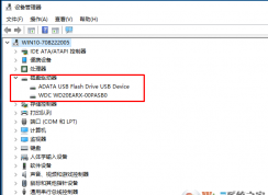 bios檢測有兩個硬盤，但是進入windows系統只顯示一個硬盤怎么辦？