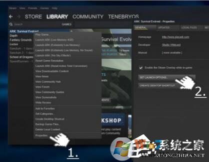 Win10玩生存進化報錯“視頻驅動程序崩潰并被重置”怎么解決?