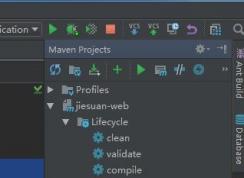 Intellij IDEA出錯Cannot Resolve Symbol XXX 正確解決姿勢