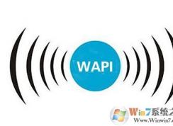 wapi是什么意思？蘋果wapi是什么？