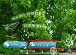qq怎么恢復被刪除的好友？恢復QQ好友的方法