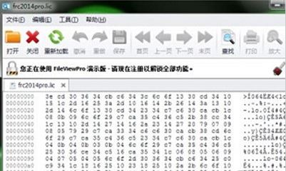 lic文件怎么打開？lic格式文件打開亂碼的解決方法