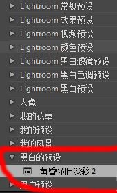lr預設怎么導入？教你導入lr預設的詳細操作方法