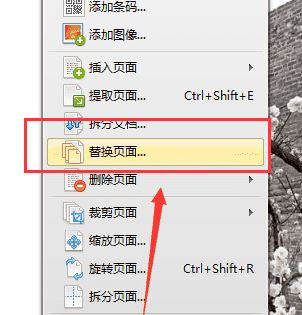 怎么刪除pdf中不要的頁面？教你pdf刪除頁面（圖解）