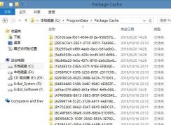 Package Cache是什么文件夾,可以刪除嗎？