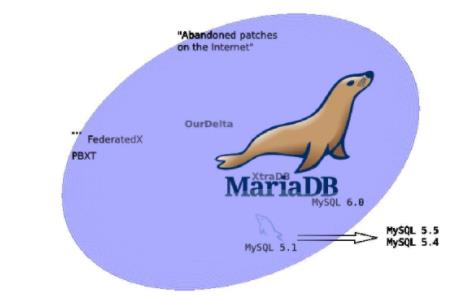 Win10如何安裝mariaDB數據庫軟件？mariaDB下載+安裝+配置教程