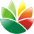 EximiousSoft Logo Designer（Logo設計軟件）v3.87綠色中文版