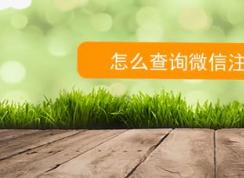 如何查詢微信注冊(cè)時(shí)間？教你查看微信號(hào)注冊(cè)時(shí)間的方法