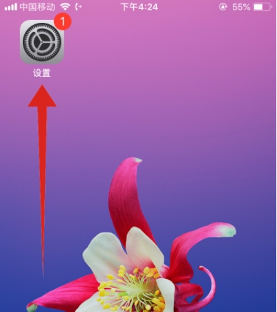 蘋果iPhone11手機怎么用siri？iphone11設(shè)置按鈕打開siri