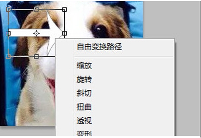 PS旋轉(zhuǎn)圖片,PS怎么旋轉(zhuǎn)圖片、圖層？