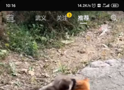 抖音直播怎么開通？抖音直播開通方法