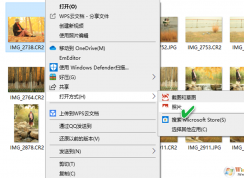 Win10系統支持RAW圖片查看的方法