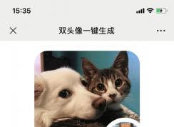 微信怎么設(shè)置2個頭像？微信設(shè)置2個頭像的方法