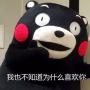 熊本熊表情包下載|熊本熊表白表情包無水印高清版