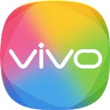 Vivo服務安全插件