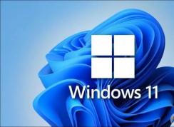 Win11家庭版和專業版有什么區別？Win11家庭版和專業版哪個好用？