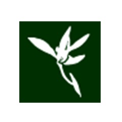 Blumind思維導圖軟件