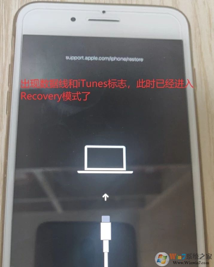 成功進入恢復(fù)模式
