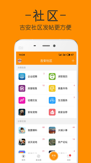 麥地網