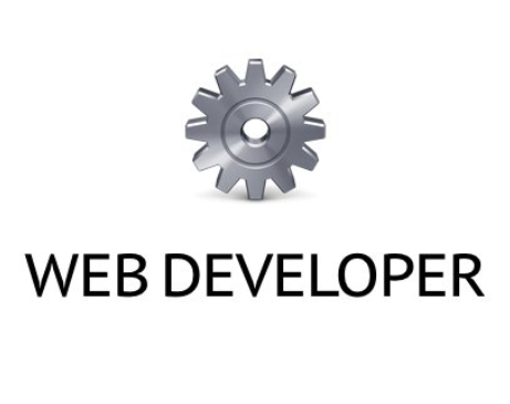 Web Developer(Chrome Web開發工具插件)