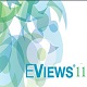 EViews計量經濟學軟件