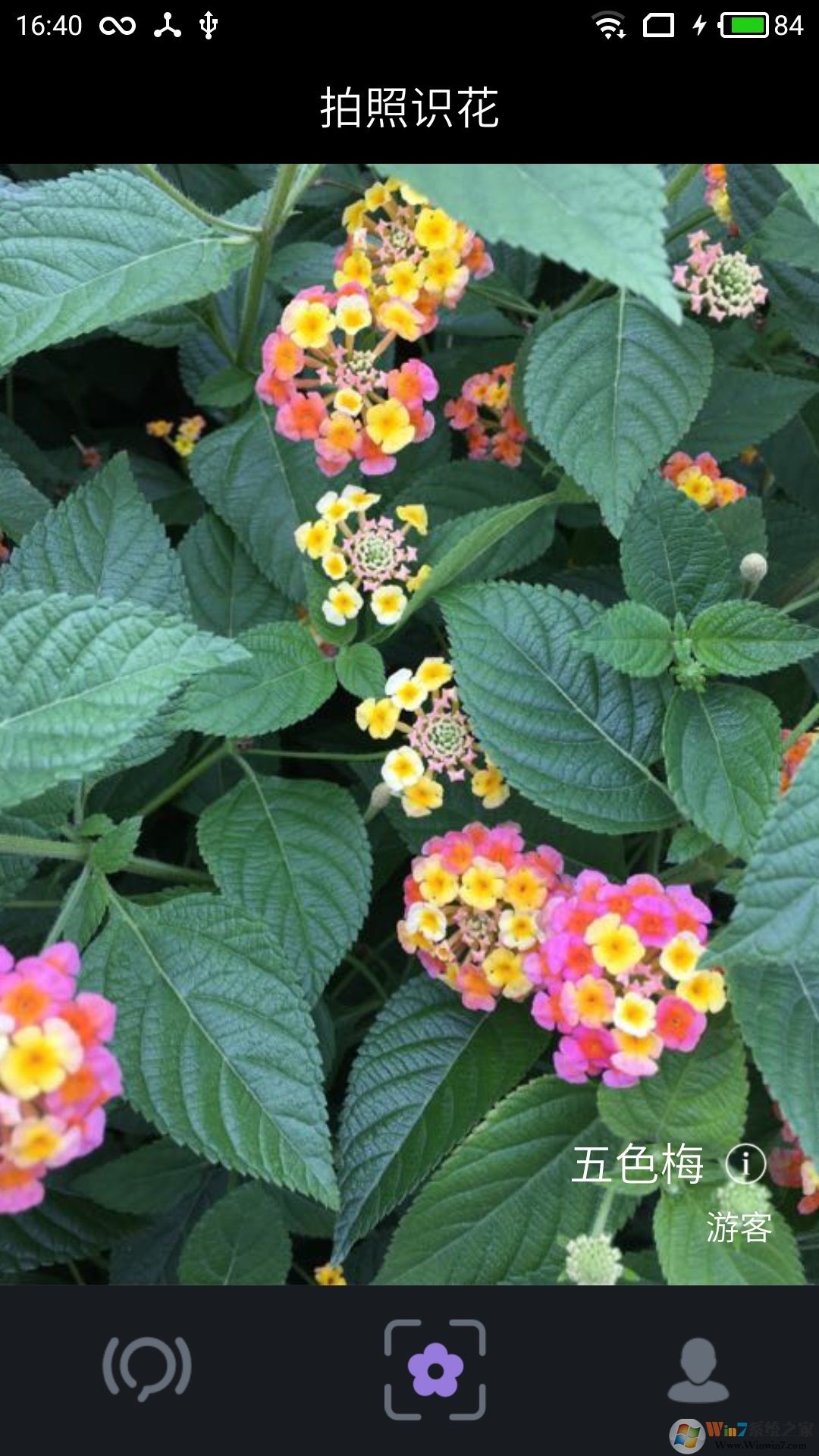 拍照識花