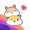番薯小組APP