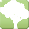 SpeedTree Cinema三維樹(shù)木建模軟件