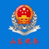 山東省電子稅務局手機版