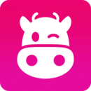 貨牛牛APP