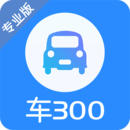 車300專業版