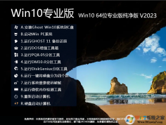 W10系統(tǒng)下載(超好用)W10 64位專(zhuān)業(yè)版鏡像(永久激活) V2023