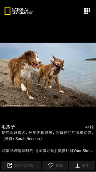 每日精選2023最新版