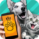 Pet Translator寵物對(duì)話翻譯器最新版
