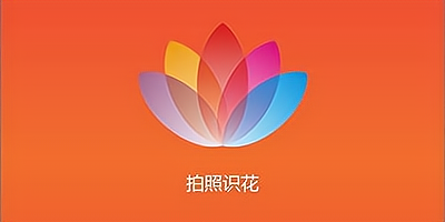拍照識花APP下載大全_拍照識花軟件APP合集