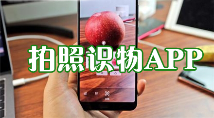 拍照識物APP下載大全_拍照識萬物_識萬物掃一掃_拍圖識物軟件合集