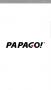 PAPAGO行車(chē)記錄儀
