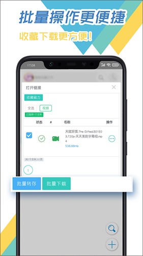 飛鳥下載器app