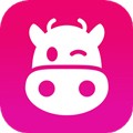 貨牛牛app官網版