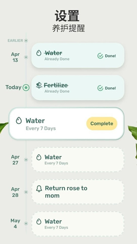 Blossom植物識別app