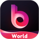Bei WorldAPP專業版