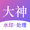 大神水印官網版