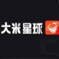 大米星球netflix官網版