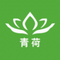 青荷健康手機官方版