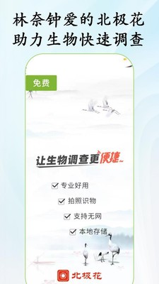 北極花生物調查(拍照識別)