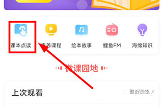 鯉魚輔導專業版