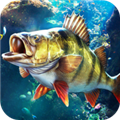 歡樂釣魚大師內置菜單版