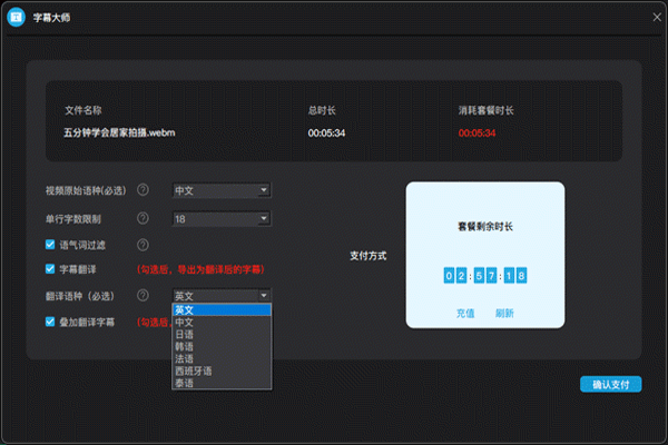 字幕大師專業版