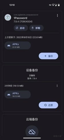 Swift Backup專業版