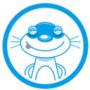 小白數(shù)據(jù)恢復(fù)工具升級版